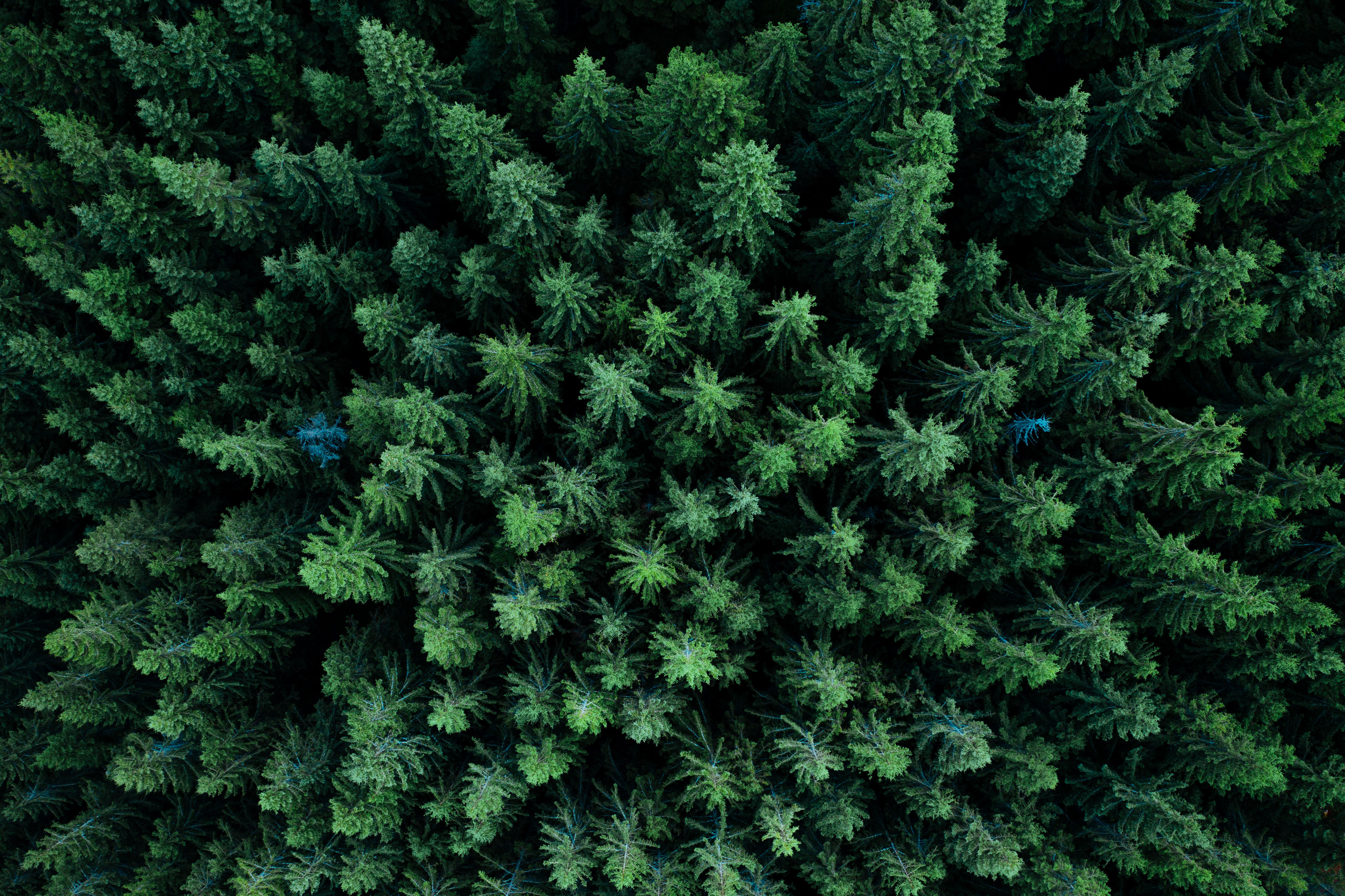 KommunalDigital-Community-Header-AdobeStock_belyaaa .jpeg