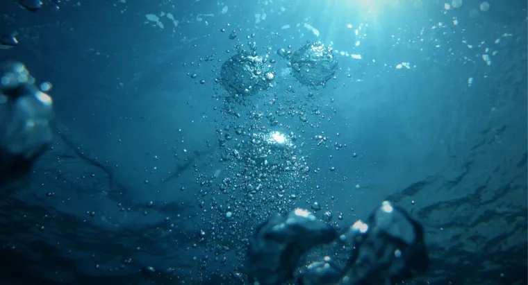 ©jong marshes-unsplash