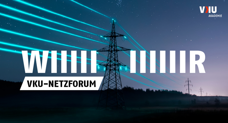 VKU-Netzforum 2025