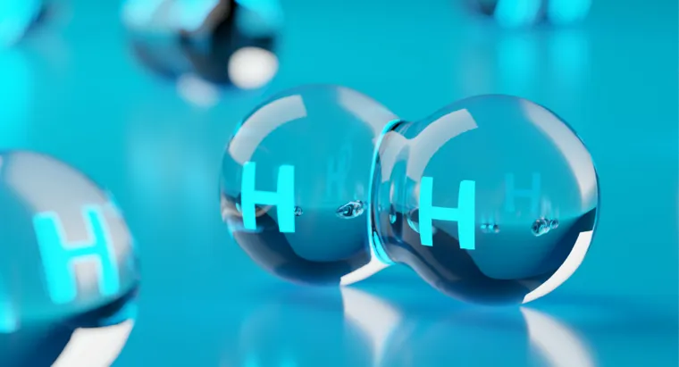  ©Shawn Hempel - stock.adobe.com