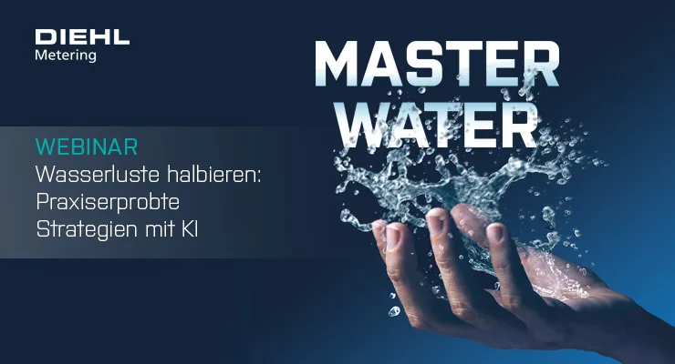 © DIEHL METERING, 2025