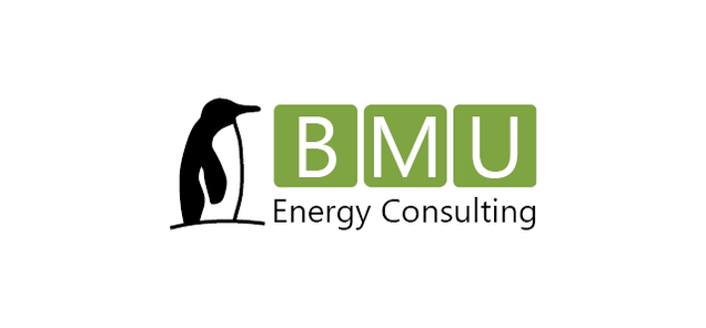 BMU Energy Consulting GmbH