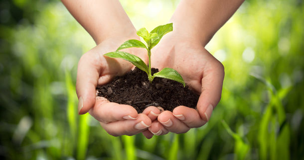 Sustainability Assessment / Bewertung der Nachhaltigkeit
