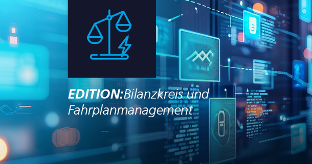 Software-Editionen für Lieferanten und Bilanzkreisverantwortliche