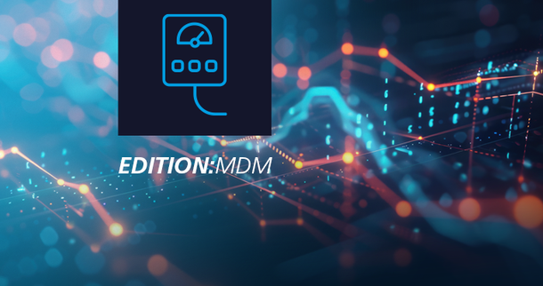 Software-Editionen für Netzbetreiber und Messstellenbetreiber