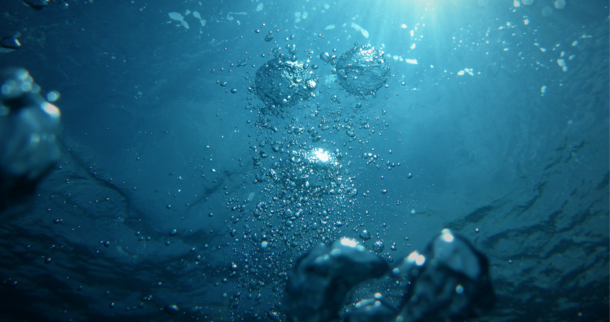 ©jong marshes-unsplash