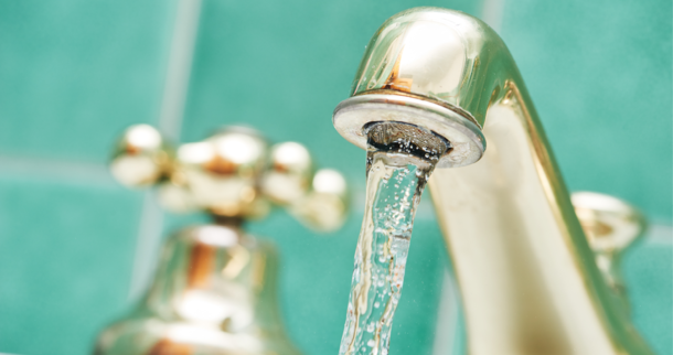 © Kalinovsky Dmitry - stock.adobe.com