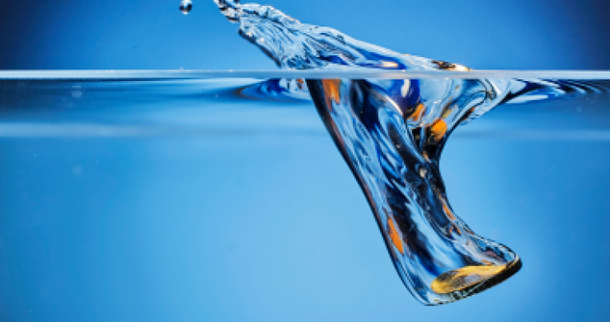 ©the lightwriter/stock.adobe.com