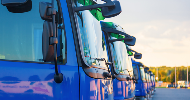 ©Christian Müller-stock.adobe.com